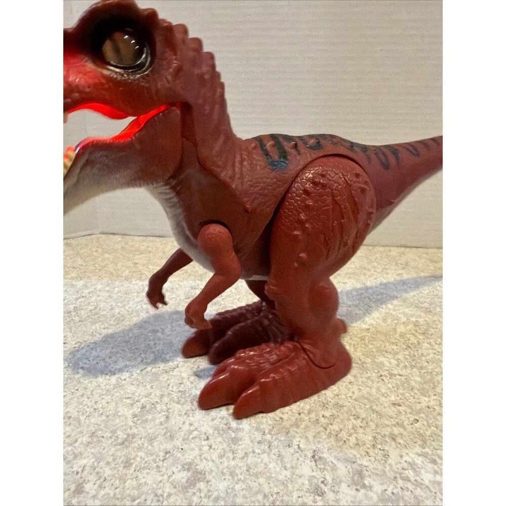 N/A red rex